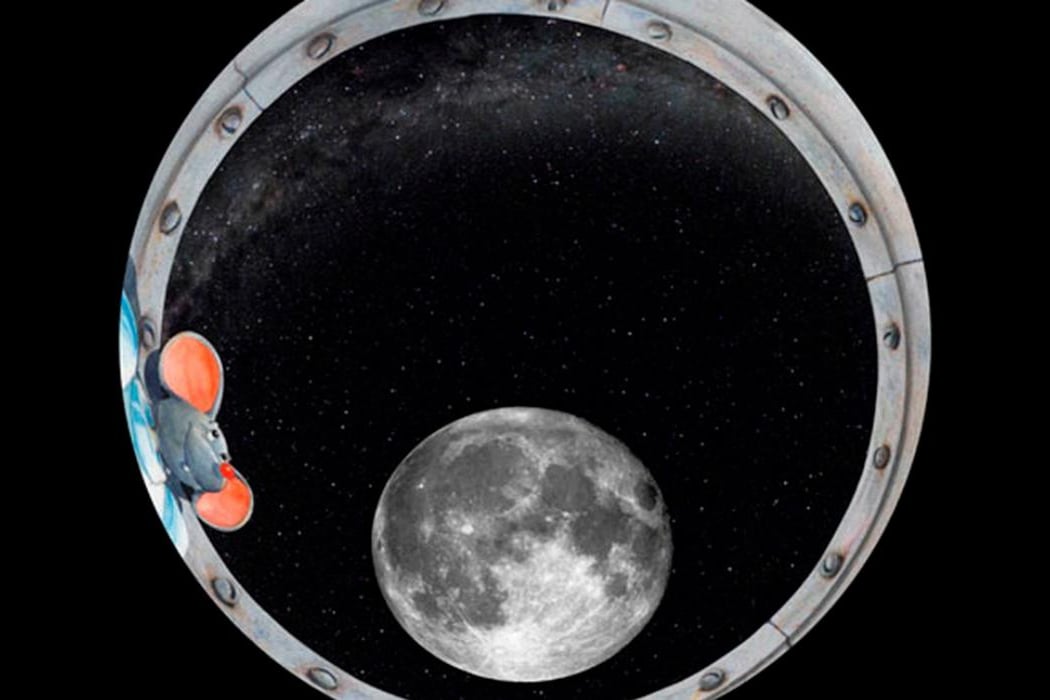 Un ratón en la luna 1